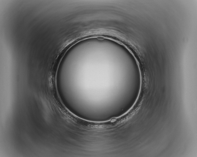 X0000115711497200911191239