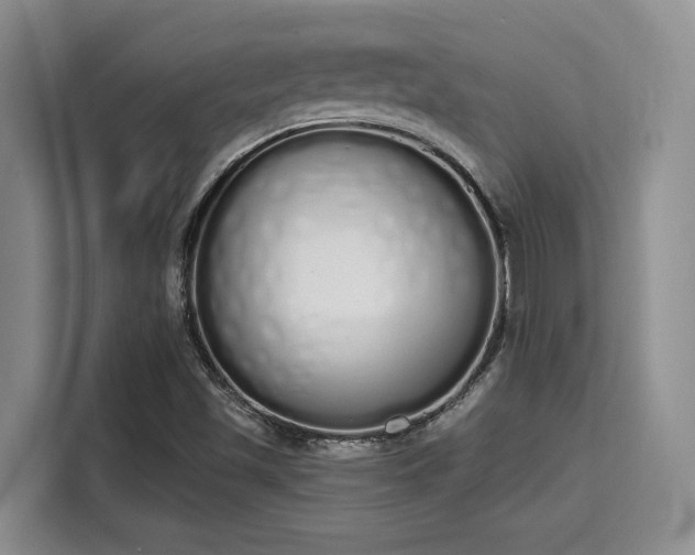 X0000115711501200911191239