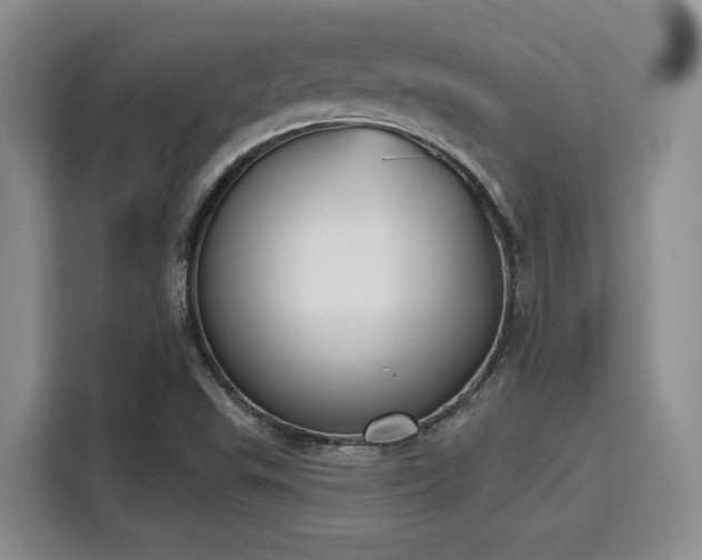 X0000115711503200911191239