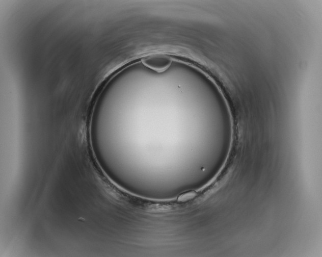 X0000115711505200911191239