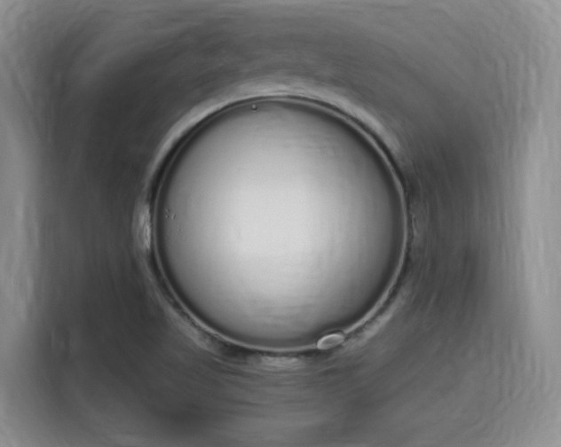 X0000115711509200911191239