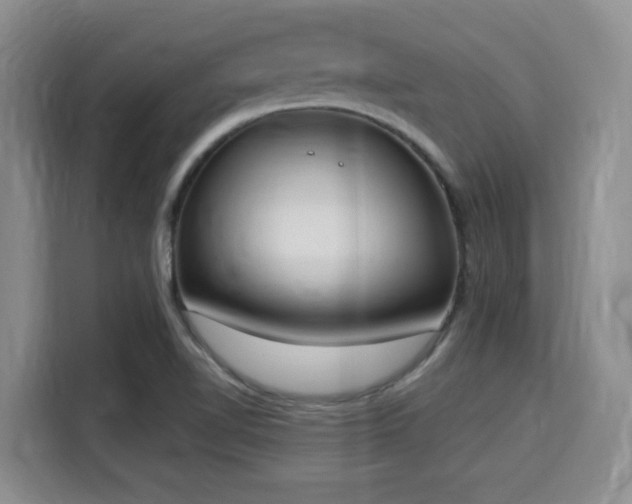 X0000115711510200911191239