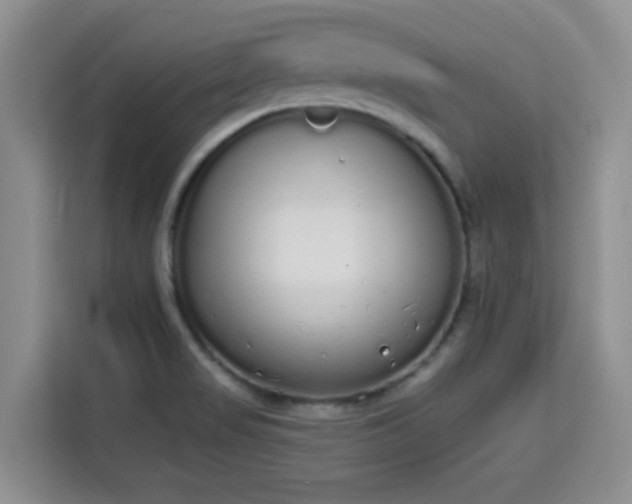 X0000115711517200911191239