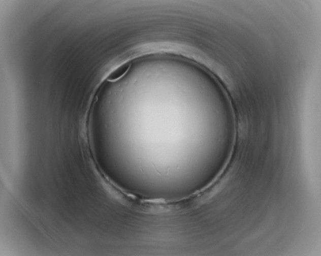 X0000115711521200911191239