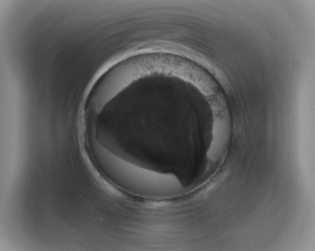 X0000115711522200911191239