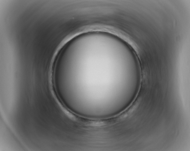 X0000115711525200911191239