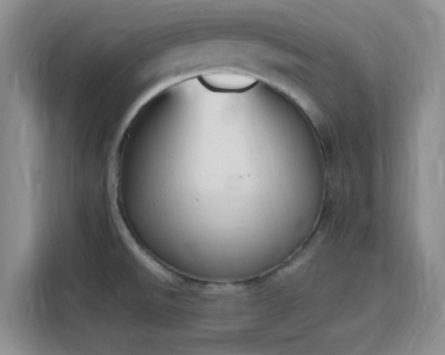 X0000115711526200911191239