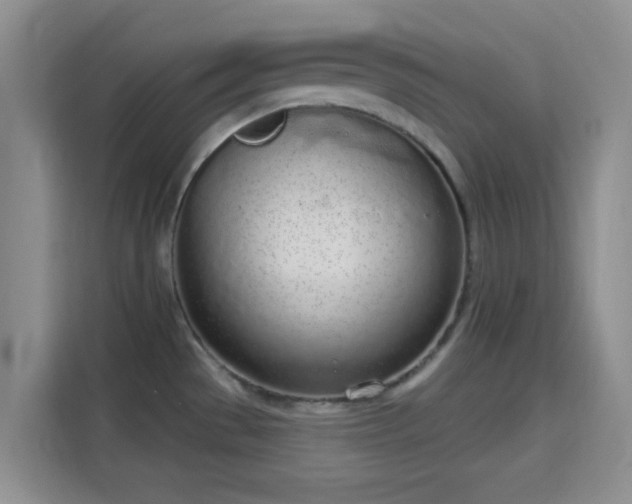 X0000115711529200911191239