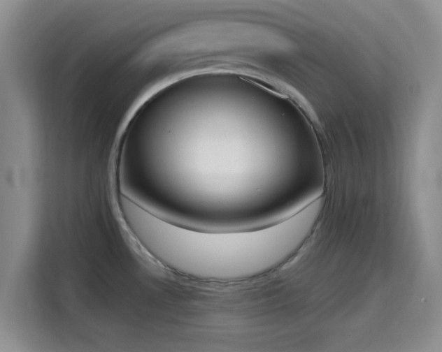 X0000115711530200911191239