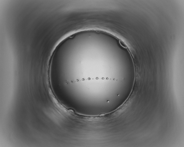 X0000115711534200911191239