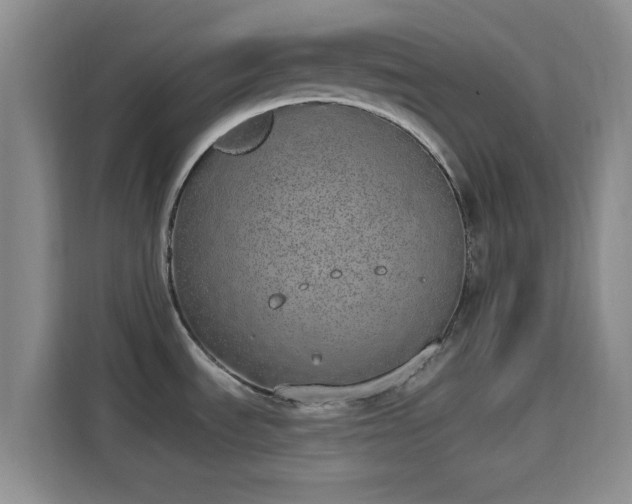 X0000115711535200911191239