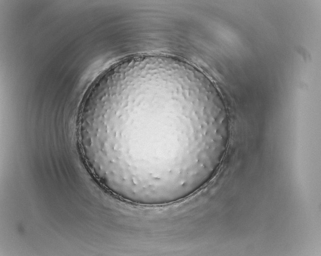 X0000115710002200911251906