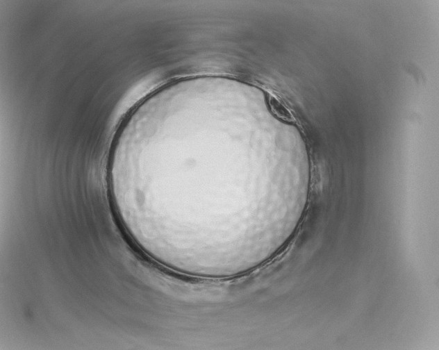 X0000115710004200911251906