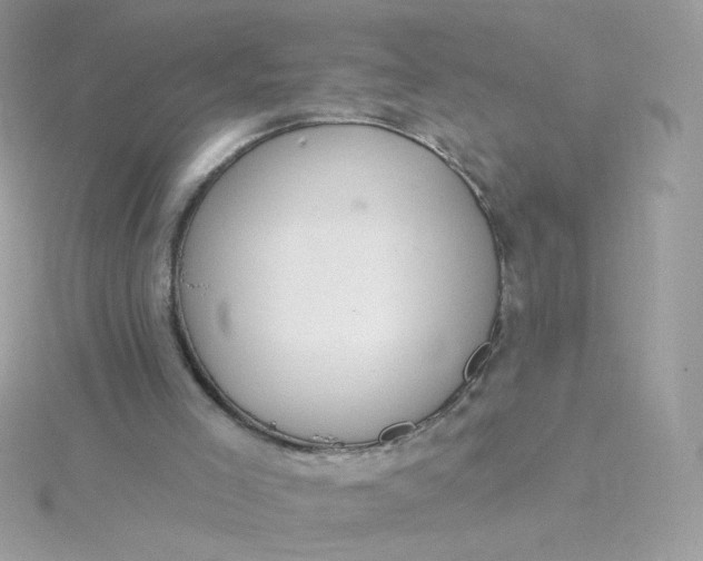 X0000115710005200911251906