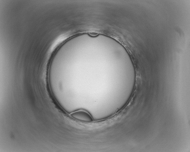 X0000115710006200911251906