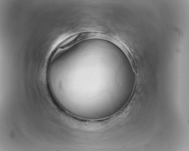 X0000115710008200911251905