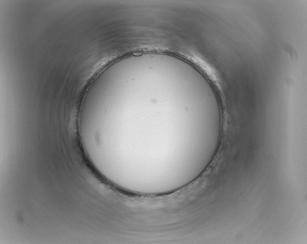 X0000115710009200911251905