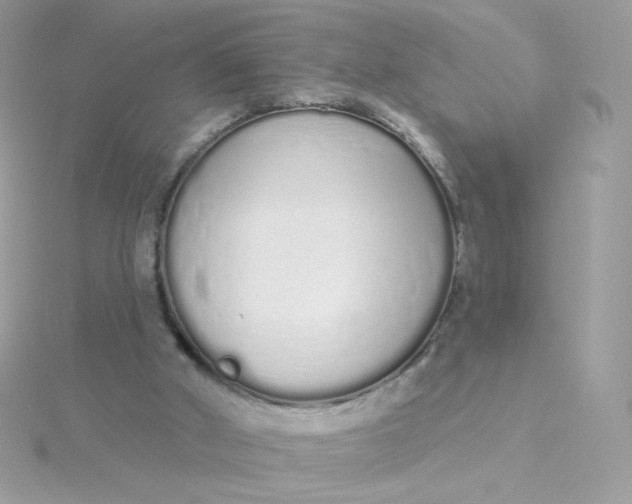 X0000115710010200911251905