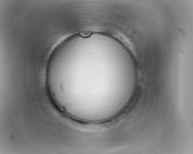 X0000115710012200911251905