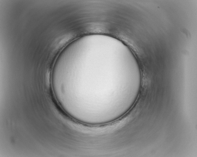 X0000115710014200911251905