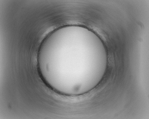 X0000115710015200911251905