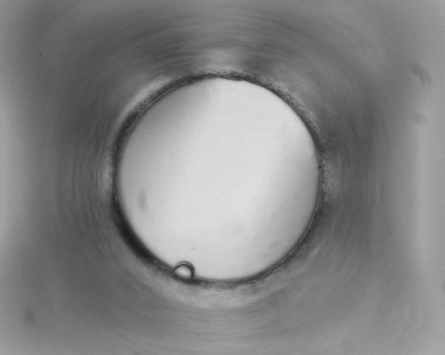 X0000115710016200911251905