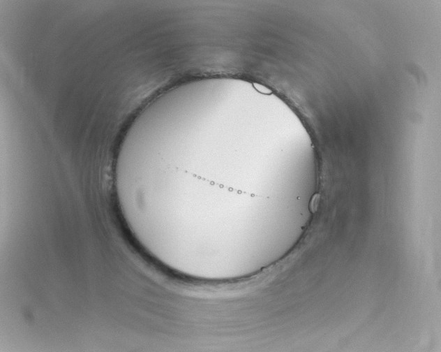 X0000115710017200911251905