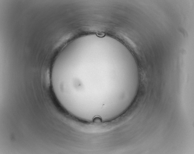 X0000115710020200911251905