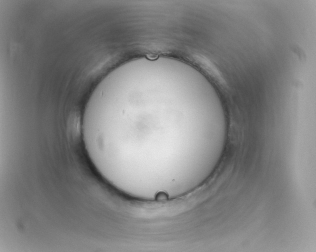 X0000115710021200911251905