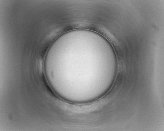 X0000115710022200911251905