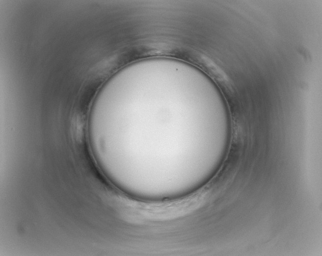 X0000115710026200911251905