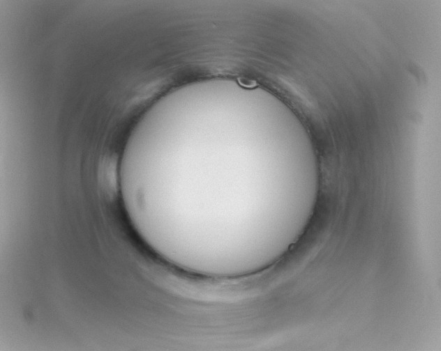 X0000115710028200911251905