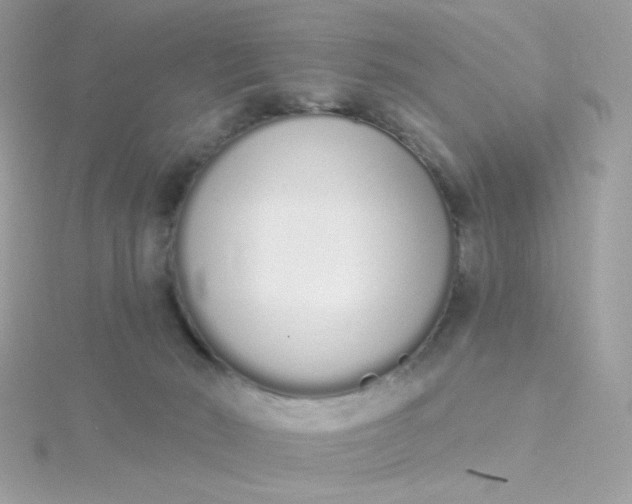 X0000115710030200911251905