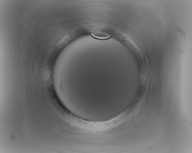 X0000115710031200911251905