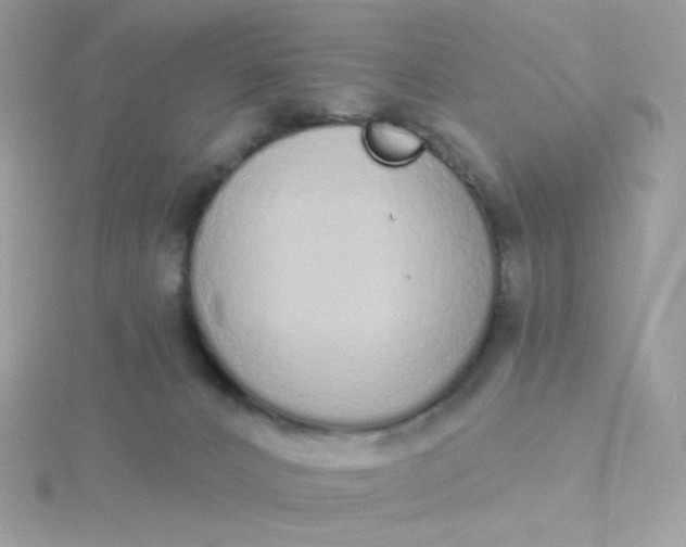 X0000115710032200911251905