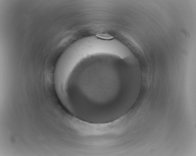 X0000115710035200911251905