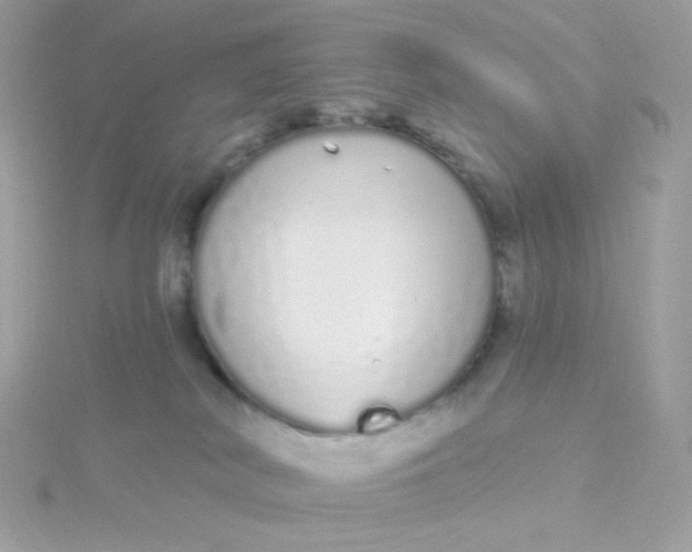 X0000115710038200911251905