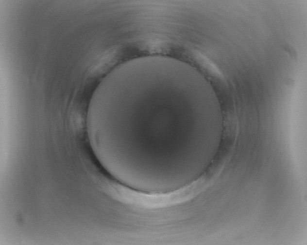 X0000115710039200911251905