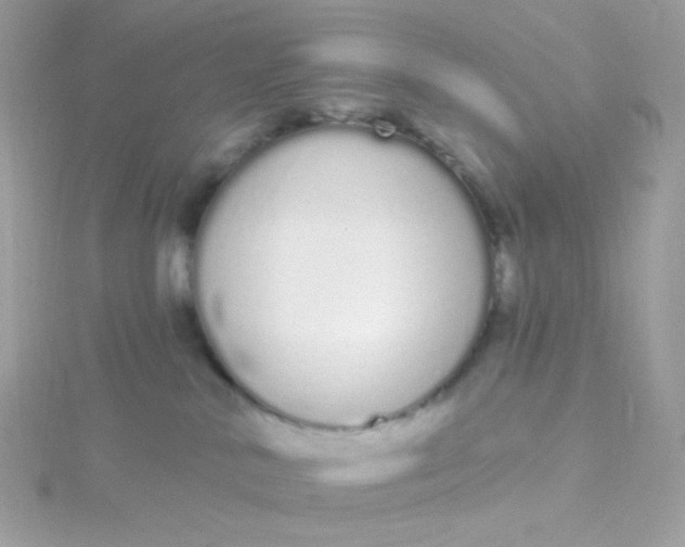 X0000115710042200911251905