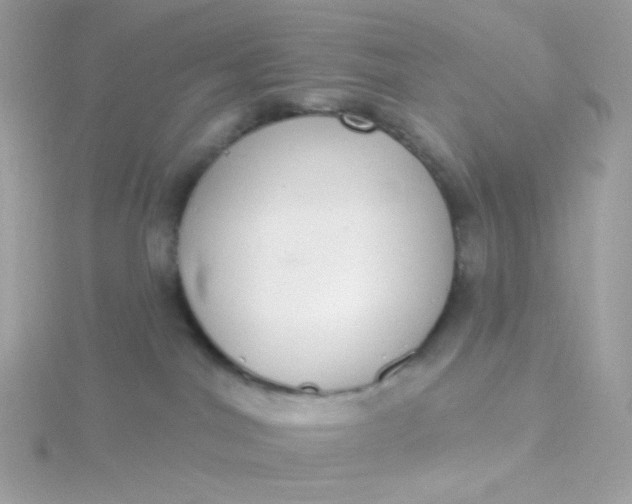 X0000115710044200911251905