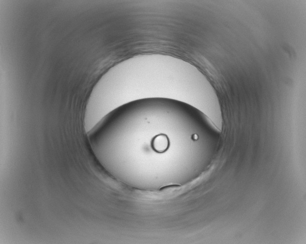 X0000115710045200911251905