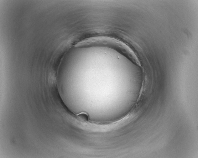 X0000115710048200911251905