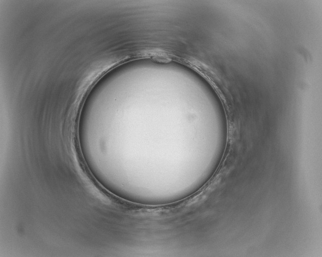 X0000115710049200911251904