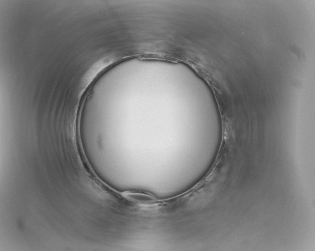 X0000115710052200911251904