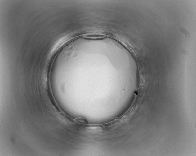 X0000115710053200911251904