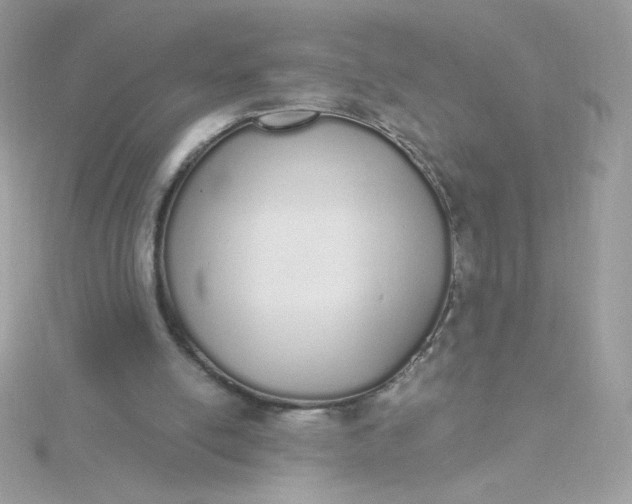 X0000115710054200911251904