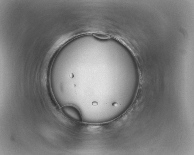 X0000115710055200911251904