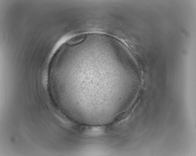 X0000115710056200911251904