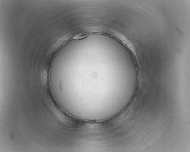 X0000115710057200911251904