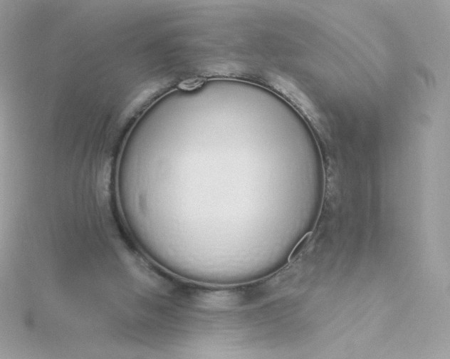 X0000115710058200911251904